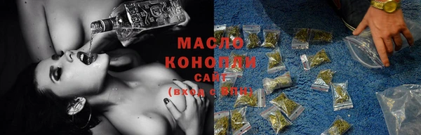 индика Горняк