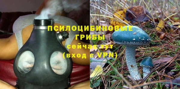 спайс Дмитриев