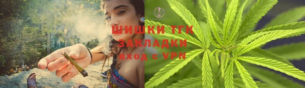 молекула духа Дмитров