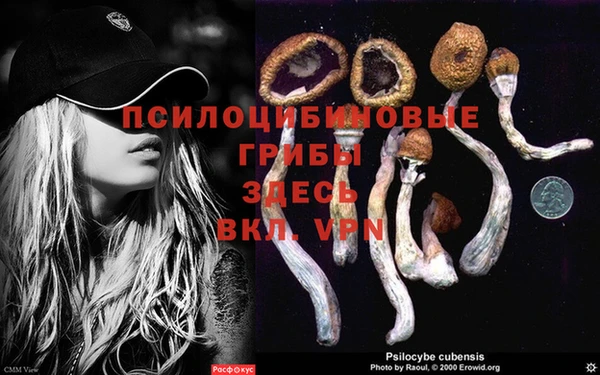 соль ск Горно-Алтайск