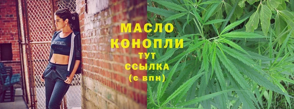 спайс Дмитриев