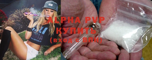 спайс Дмитриев