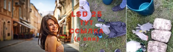 спайс Дмитриев
