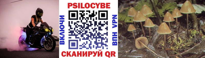omg онион Данилов Галлюциногенные грибы мухоморы
